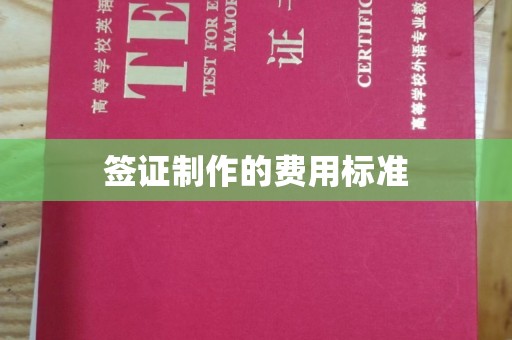 梓潼签证制作的费用标准