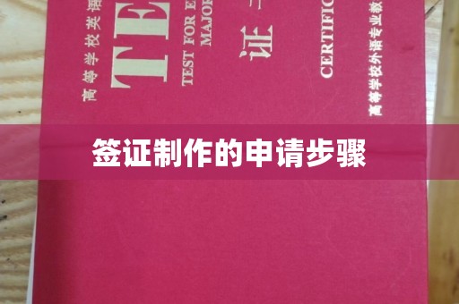 梓潼签证制作的申请步骤